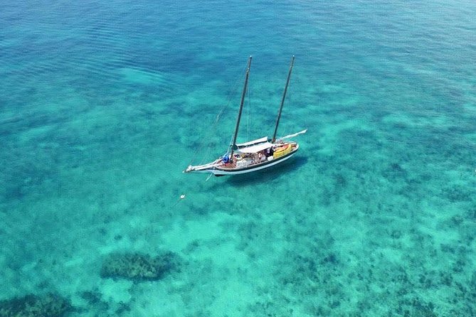 Key West Schooner Backcountry Eco-Tour: Sail, Snorkel & Kayak - Customer Experiences