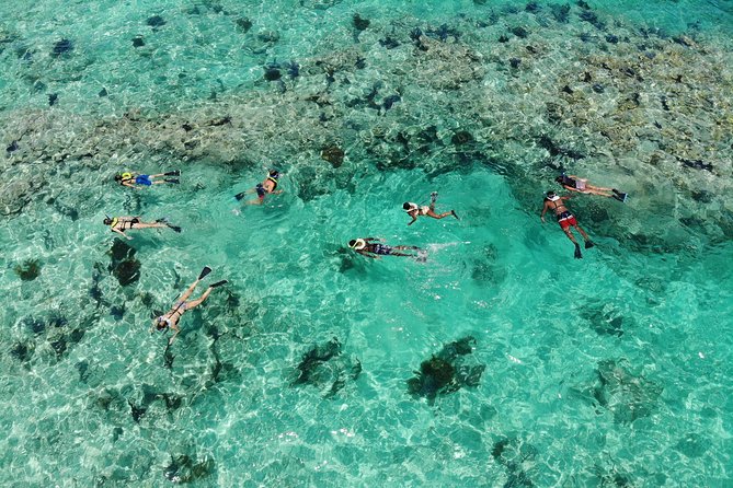 Key West Sunset Snorkel With Unlimited Draft Beer & Wine - Socialize on the Atlantic Ocean