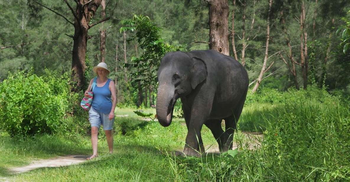 Khao Lak: Bamboo Rafting, Elephants, and Turtle Center Tour - Full Experience Description