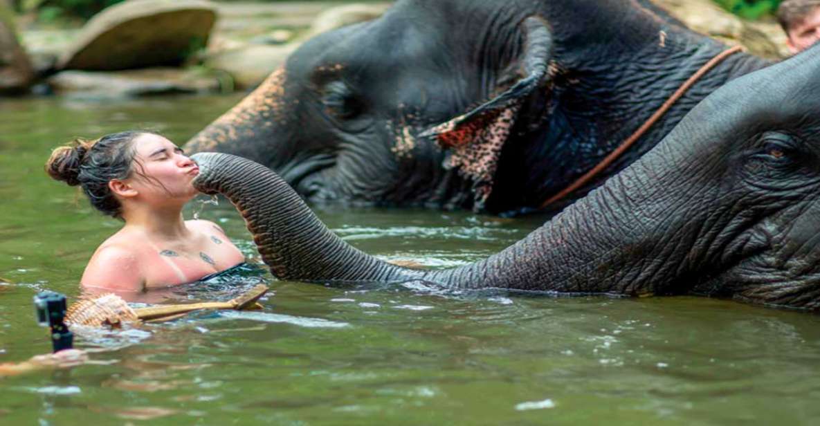 Khao Lak: Elephant Safari With Lunch - Full Description