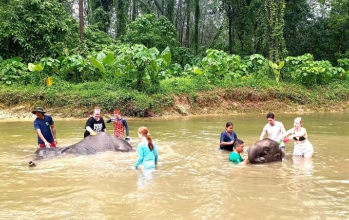 Khao Lak: Elephant Sanctuary Guided Tour - Customer Reviews