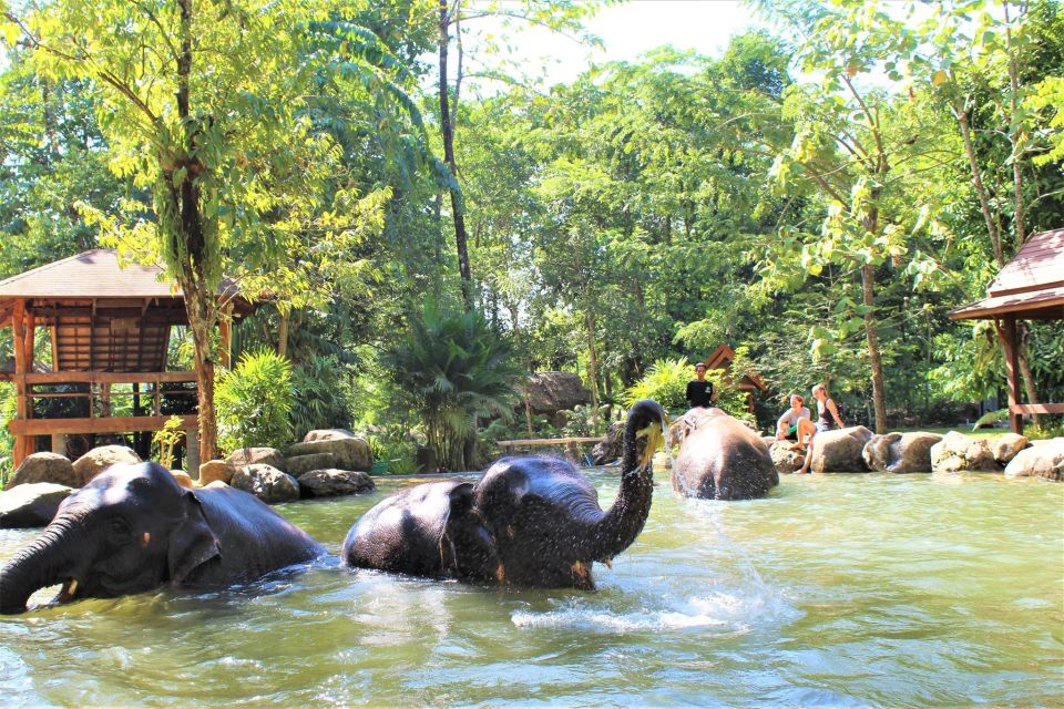 Khao Lak: Ethical Elephant Sanctuary Experience - Detailed Description