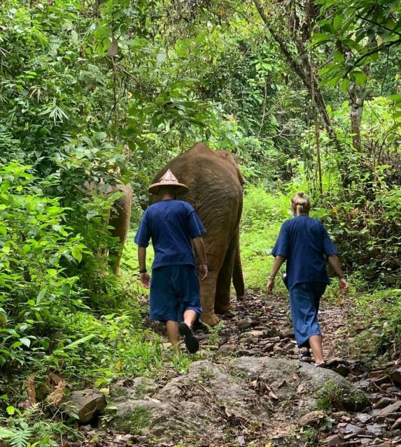 Khao Lak: Unique Dawn Ethical Elephant Sanctuary Experience - Engaging Activities With Rescued Elephants