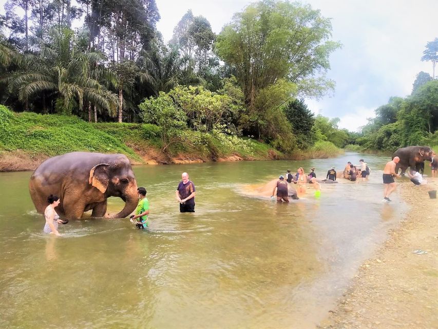 Khao Sok: Elephant Rescue Center With Lunch & Bamboo Rafting - Experience Description