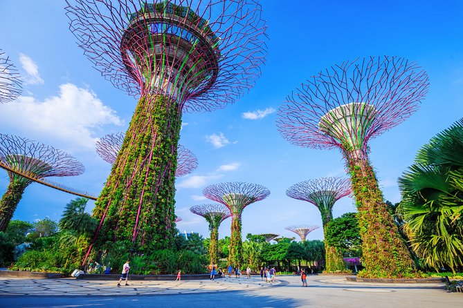 Kickstart Your Trip To Singapore With A Local: Private & Personalized - Flexible Group Size Options