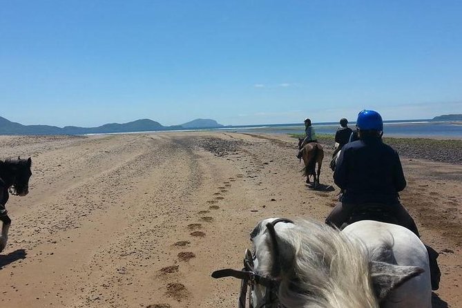 Killarney National Park Horseback Ride. Co Kerry. Guided. 2 Hours. - Cancellation Policy