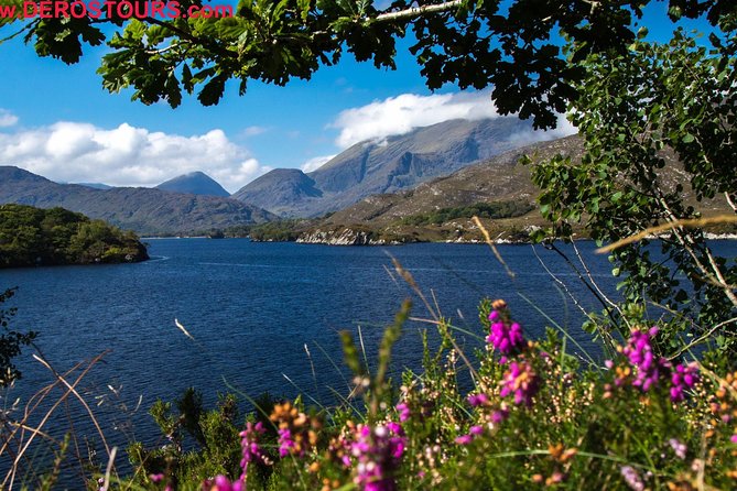 Killarney Super Saver: Dingle and Slea Head Day Trip Plus Ring of Kerry and Killarney Lakes Day Trip - Viator Help Center Details