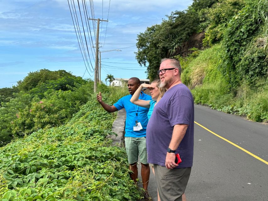 Kingstown: Cascading Dark View Falls and Beach Tour - Tour Highlights