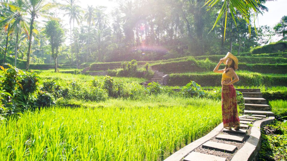 Kintamani All In: Tegalalang, Tirta Empul, Penelokan, Etc - Tirta Empul Sacred Springs Visit