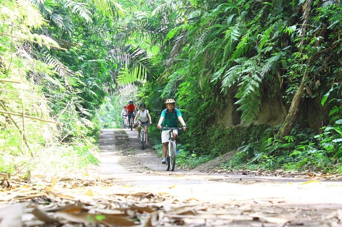 Kintamani Cultural and Nature Cycling Tour - Common questions