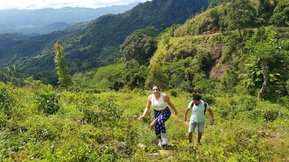 Knuckles Mountain Range, Matale - Book Tickets & Tours - Booking Tickets for Knuckles Mountain Range