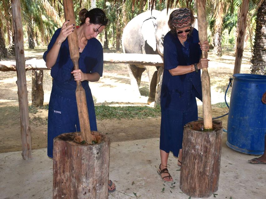 Ko Lanta Yai: Half-Day Ethical Elephant Sanctuary Tour - Booking Inclusions