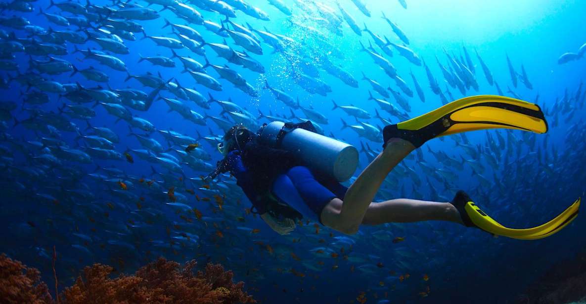 Ko Tao: Try Scuba Diving 1-Day Experience - Additional Information