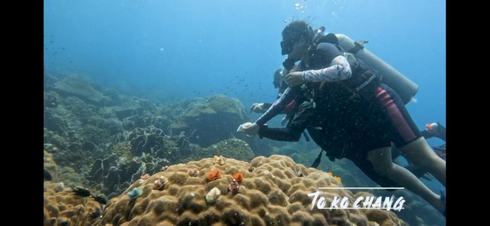 Koh Chang: 3-day PADI Open Water Scuba Diver Course - Highlights of the Diver Course