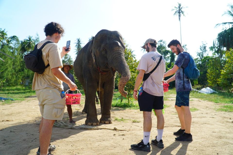 Koh Samui: 4x4 Sightseeing Safari & Elephant Sanctuary Tour - Elephant Sanctuary Experience