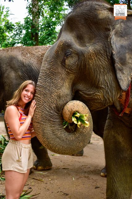 Koh Samui: Elephant Jungle Sanctuary Half-Day Tour - Review Summary
