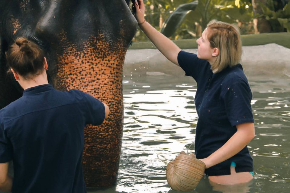 Koh Samui: Ethical Elephant Home Guided Tour With Transfers - Review Summary