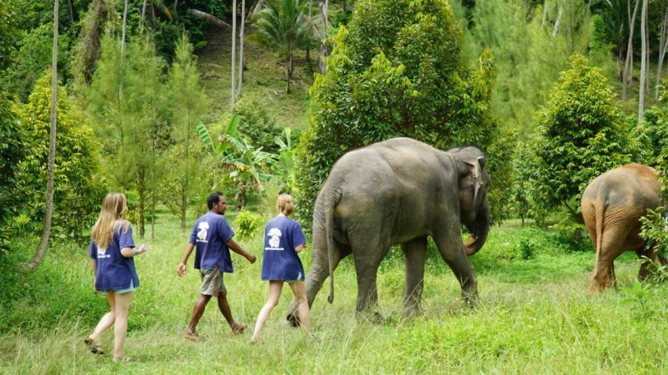 Koh Samui: Half-Day Ethical Elephant Sanctuary With Mud Spa - Review Summary