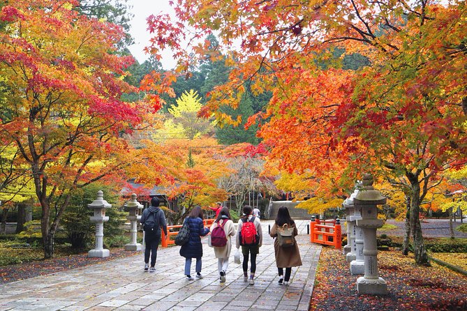 Koyasan Full-Day Private Tour - Cancellation Policy Details