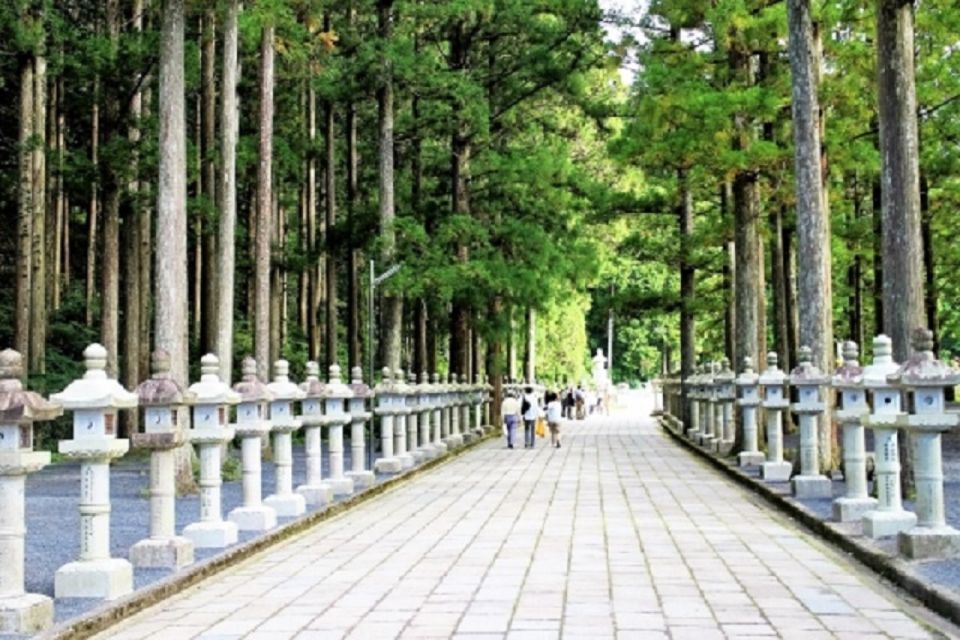 Koyasan: Mt. Koya Guided Private Walking Day Tour - Tour Description