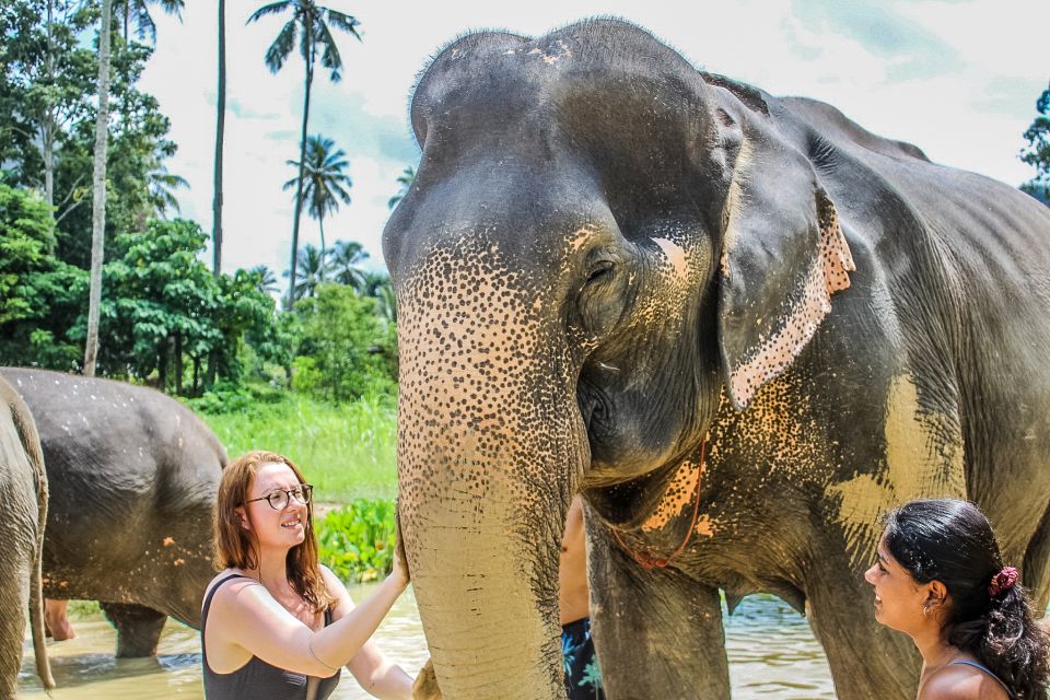 Krabi: Ao Nang Elephant Sanctuary Half-Day Tour - Experience Highlights