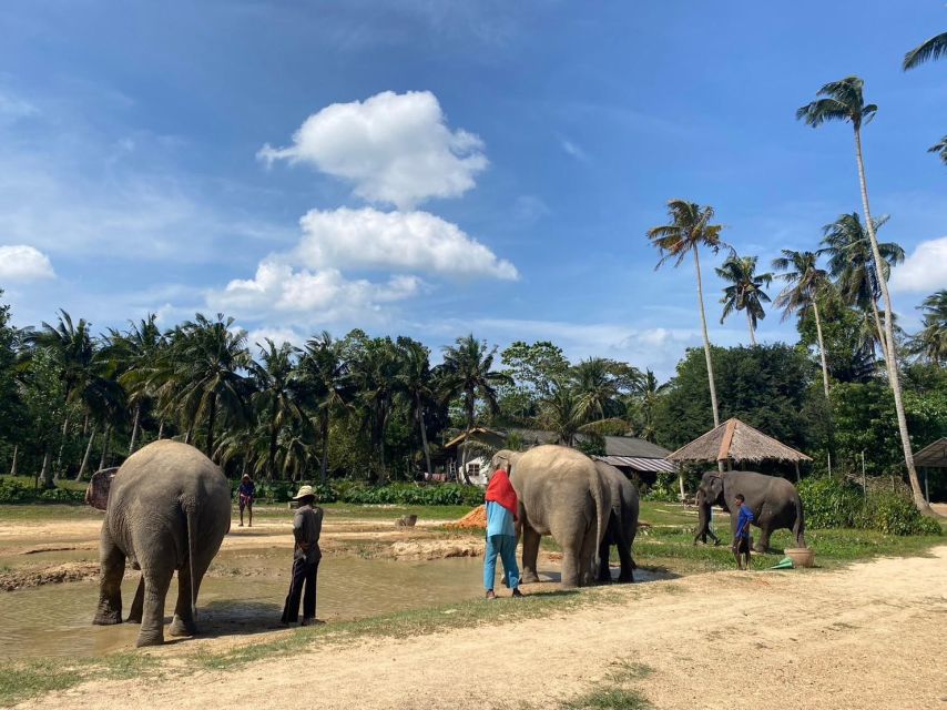 Krabi: Elephant Bathing and Huay Tho Waterfall Day Trip - Full Experience Description