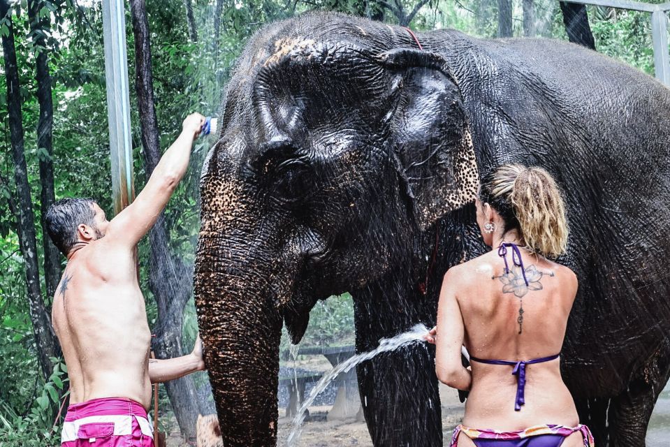 Krabi: Highlights Tour With Krabi Elephant Shelter - Ultimate Bath Experience With Elephants