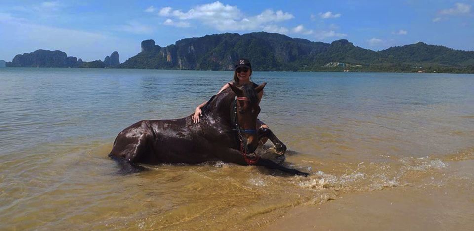Krabi: Horseback Riding on the Beach - Review Summary