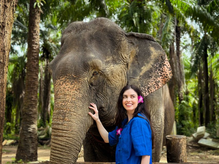 Krabi: Kayaking at Klong Nam Sai, Elephant Bathing & Feeding - Activity Highlights