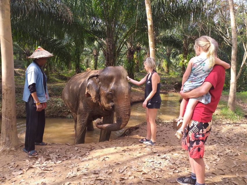 Krabi: Tour of Elephant Care House and Tiger Cave Temple - Participant Information and Meeting Details