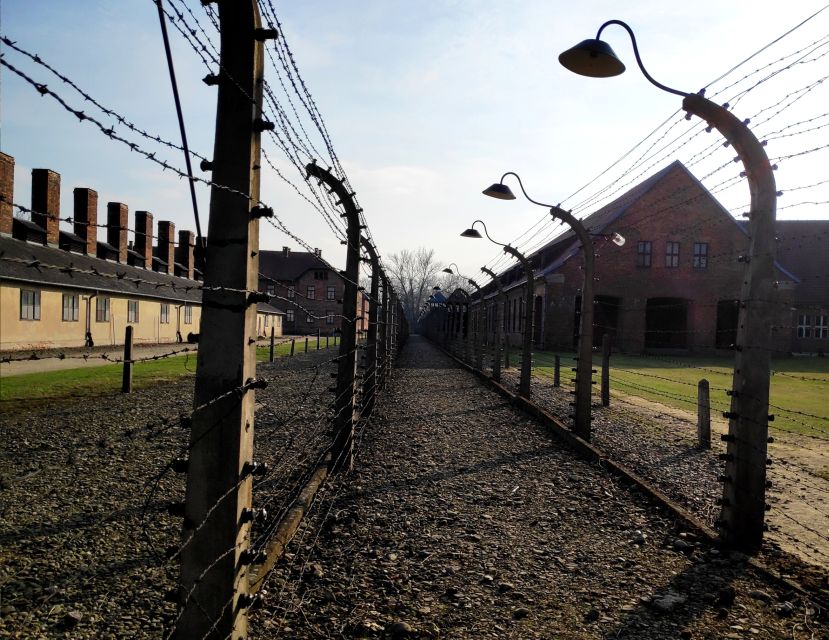 Krakow: Auschwitz-Birkenau & Wieliczka Salt Mine With Lunch - Review Ratings