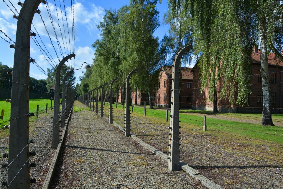 Krakow: Guided Auschwitz Birkenau Tour - Meeting Point and Requirements
