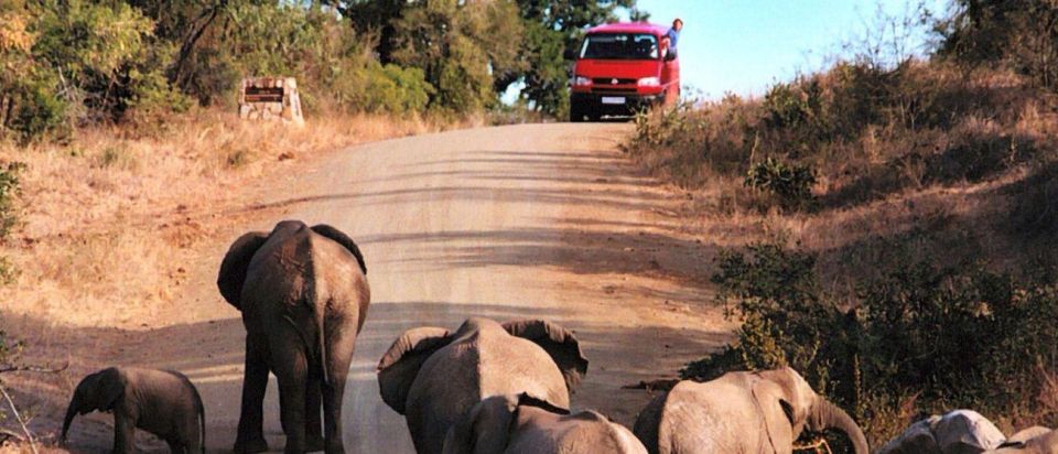Kruger National Park - 4 Day Tour From Johannesburg - Location and Departure Details
