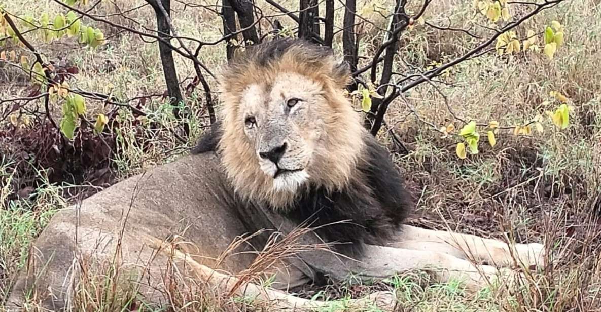 Kruger Park Safari From Maputo - Additional Information