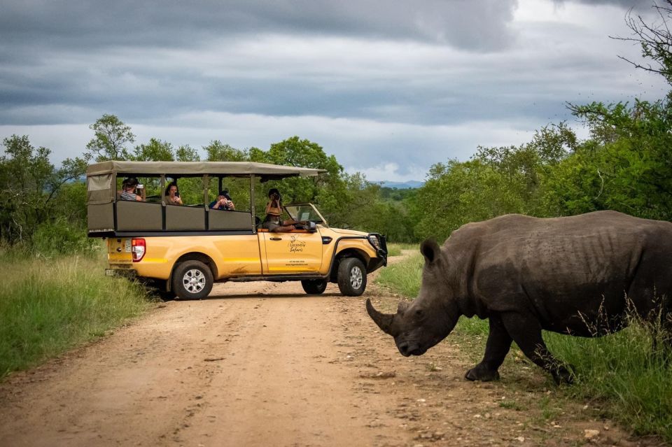 Kruger Safari Tour: Morning Half Day - Payment Options
