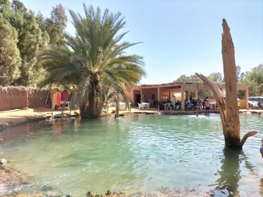 Ksar Ghilan (Oasis) One Day Tour : Starting From Djerba - Experience Highlights