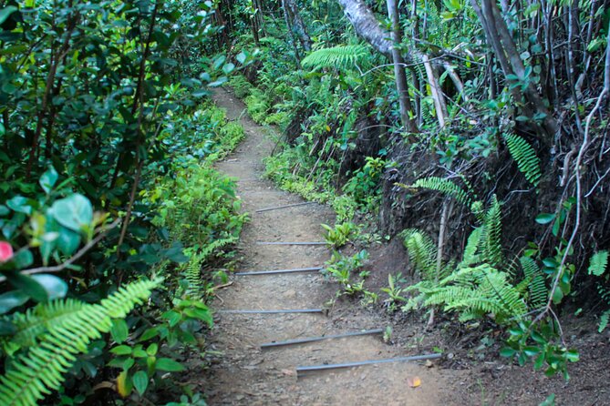 Kualoa Ranch - Jungle Expedition Tour - Safety Measures