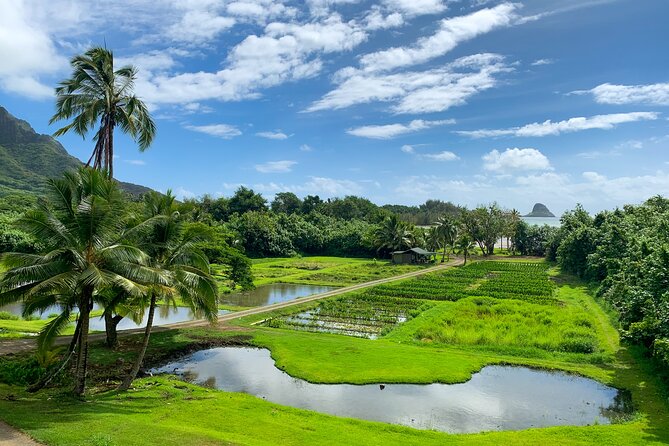 Kualoa Ranch Off-Road Jungle, Garden, Film Location Tour (Mar ) - Traveler Tips