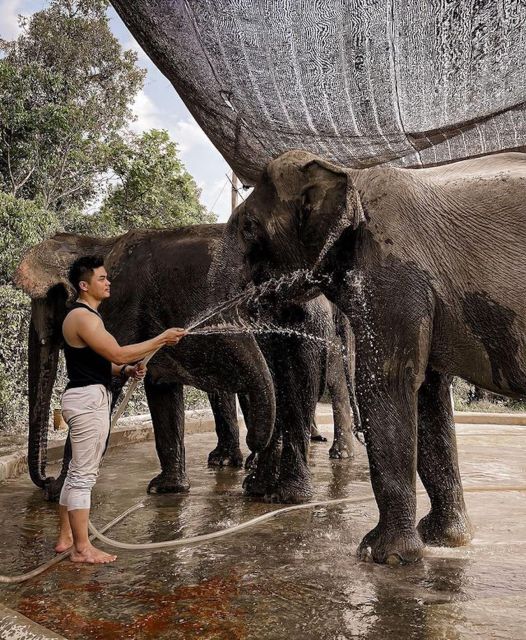 Kulen Elephant Siem Reap Forest in Small Group Tour - Social Impact