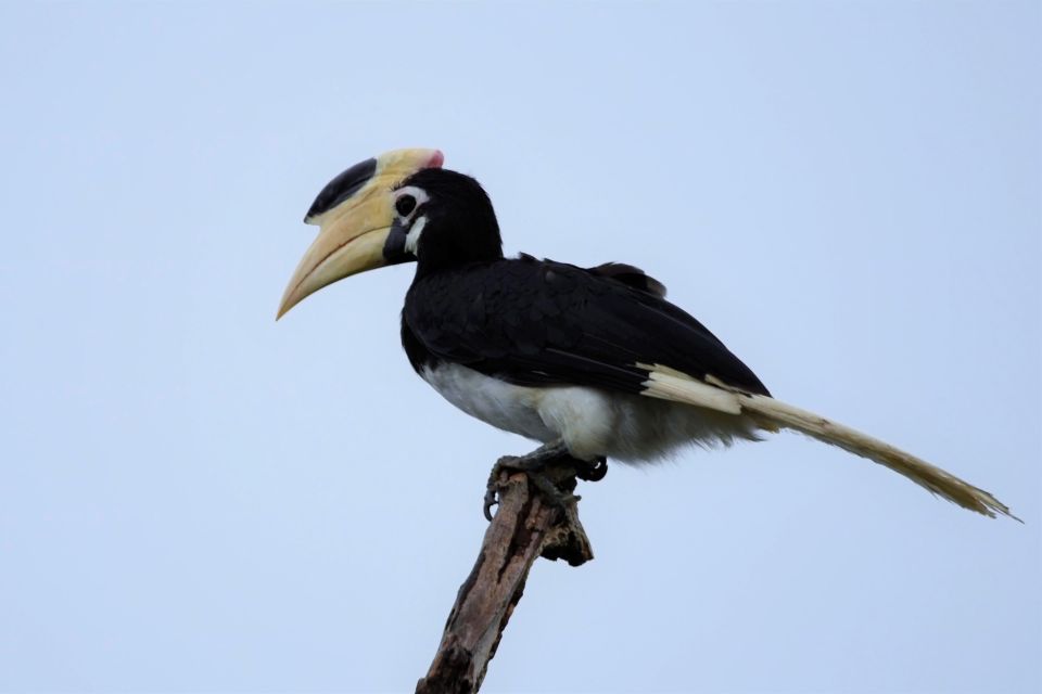 Kumana National Park Half Day Jeep Safari - Starting Location Information