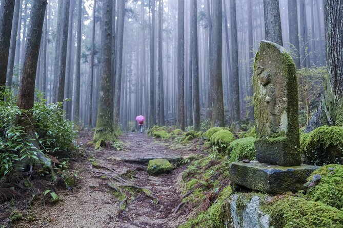 Kumano Kodo Pilgrimage Tour With Licensed Guide & Vehicle - Meeting and Pickup Logistics