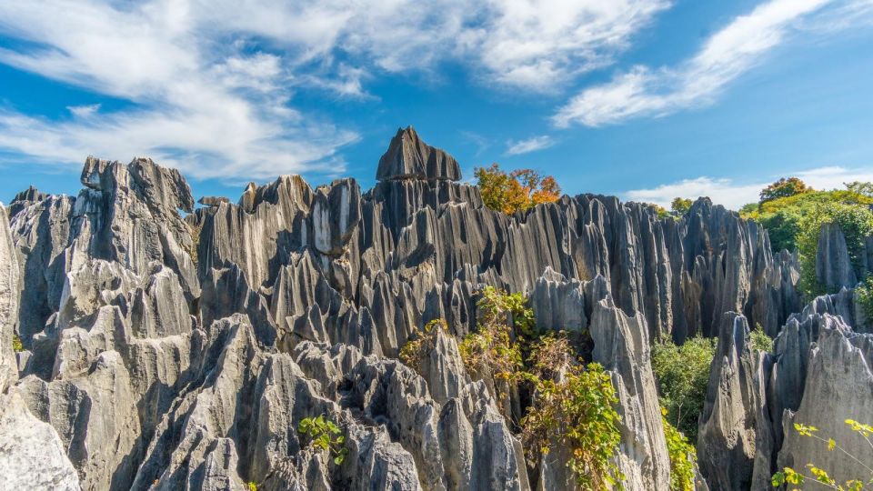 Kunming: Private Half Day Tour of Stone Forest Park W/Option - Stone Forest Park Location