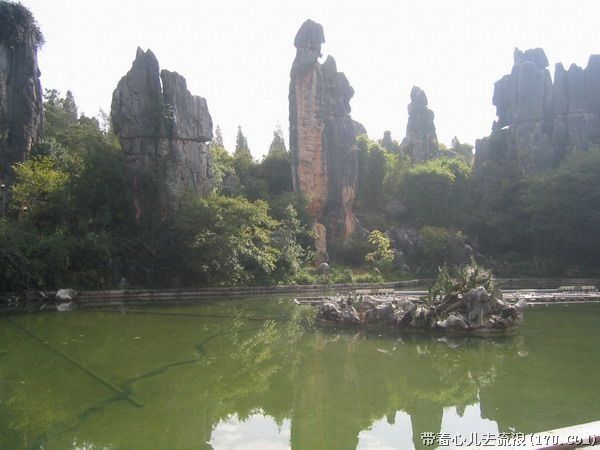 Kunming: Stone Forest Private Day Tour - Activity Duration and Inclusions