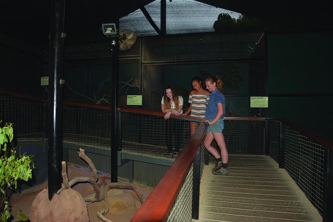 Kuranda Koala Gardens General Entry Ticket - Traveler Reviews