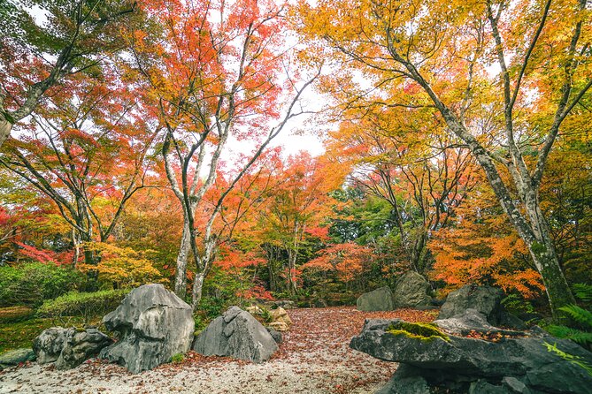 Kyoto Arashiyama Bamboo Forest & Garden Half-Day Walking Tour - Reviews & Ratings Overview