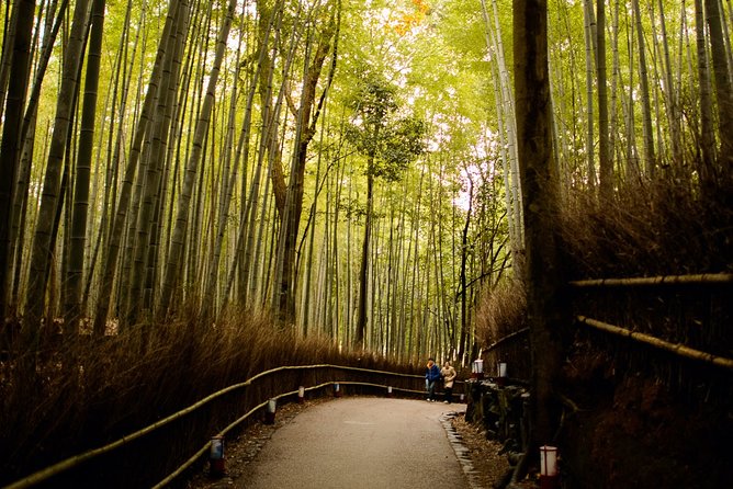 Kyoto Bamboo Forest Electric Bike Tour - Pricing and Product Code
