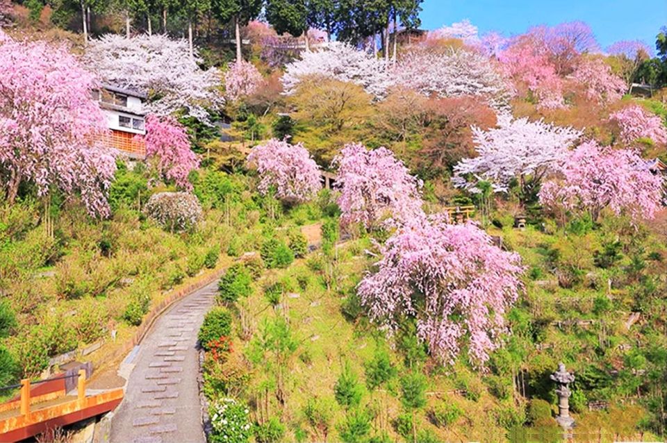 Kyoto: Cherry Blossom Highlights and Pontocho 1-Day Tour - Kyoto Botanical Garden Visit