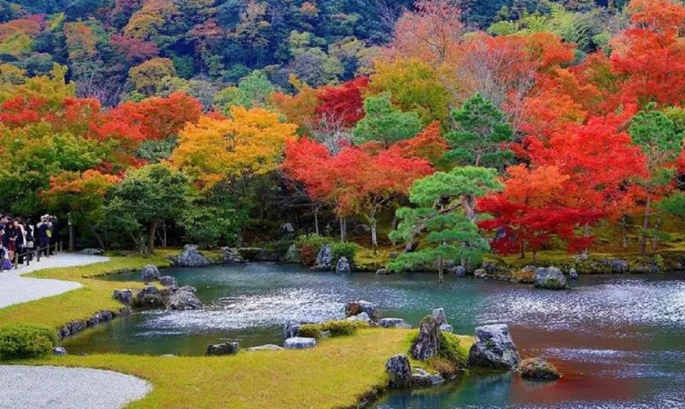 Kyoto Full Day Tour: Visiti Kyoto Sanzen-In and Arashiyama - Experience Highlights