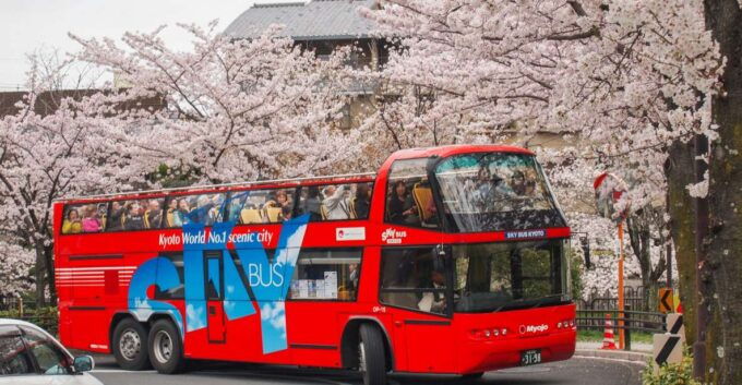 Kyoto: Hop-on Hop-off Sightseeing Bus Ticket - Value for Money