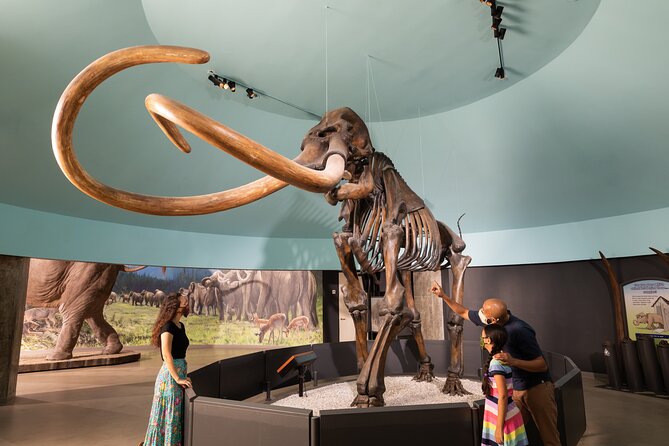 La Brea Tar Pits and Museum Admission Ticket With Excavator Tour - Viator Support and Policies